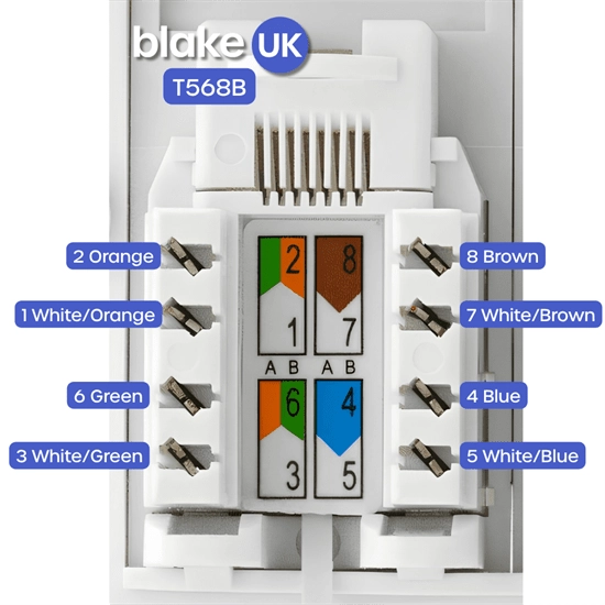 Blake CAT5 Euro Module