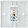 RJ45 CAT5E Wall Outlet Kit Single