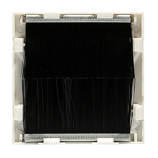 Two-Gang Brush Plate Euro Module